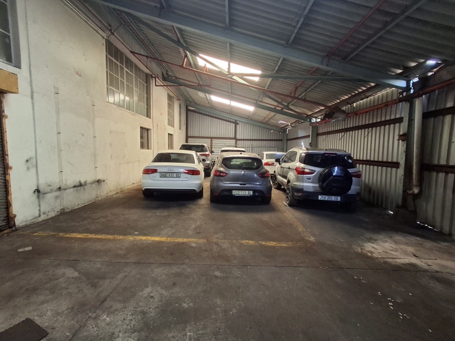 To Let Commercial Property for Rent in Arcadia Eastern Cape